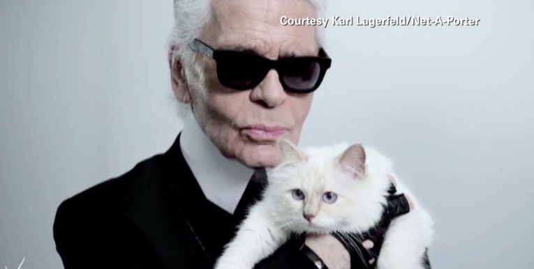 Choupette, Karl Lagerfeld