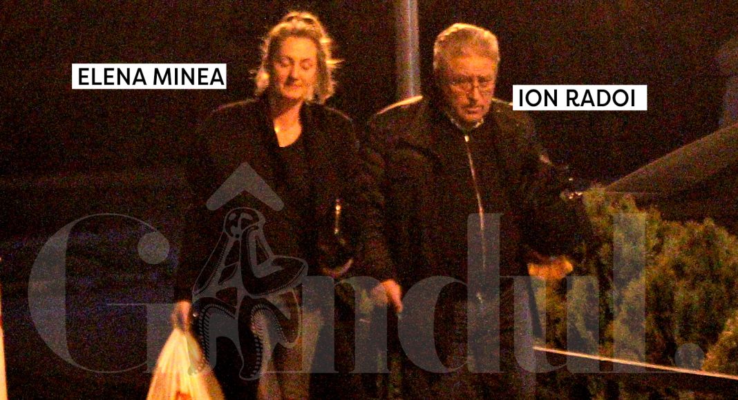 Elena Minea - Ion Rădoi