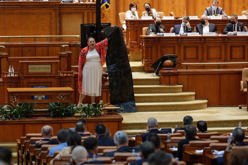 Șoșoacă sac