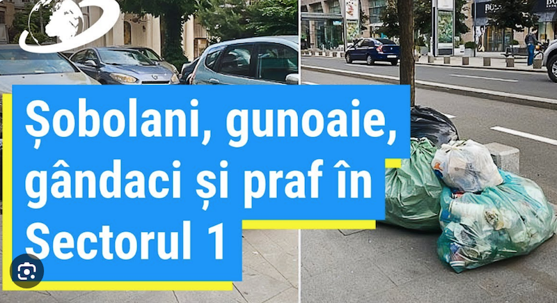 Sondaj N Ce Sector Al Capitalei Sunt Obolanii Cei Mai Mul I I Cei Mai Mari Ziari Tii