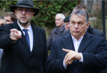 Greșeală gravă a lui Kelemen Hunor: „Îl susțin pe Viktor Orban la alegerile parlamentare din aprilie”