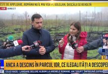 VIDEO. Anca Alexandrescu, “îngropată” de cel adus să-i susțină candidatura! „Văduva Neagră” nu mai știe cum să-l ascundă pe șpăgarul Oprescu