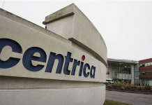 Un mare furnizor de energie intră pe piața românească. Are o cifră de afaceri uriașă: 22,7 miliarde de euro pe an