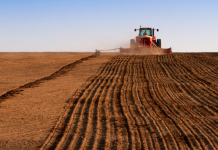 Cât costă hectarul de teren arabil și de pășune în România, comparativ cu alte țări din UE