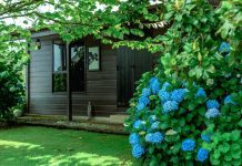 Cum să economisești timp și efort în grădină cu ajutorul suflantelor și al tocătoarelor performante