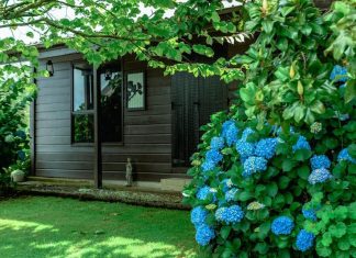 Cum să economisești timp și efort în grădină cu ajutorul suflantelor și al tocătoarelor performante