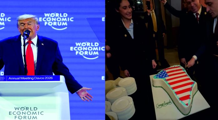 Regele nebun și bufonul mioritic. Desantul hitlerist de la Davos și turma de AUR de la Washington