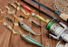 Nadă pentru concurs versus pescuit recreativ: care sunt diferențele