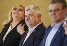 Un elefant se legăna pe o pânză de păianjen