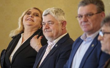 Un elefant se legăna pe o pânză de păianjen