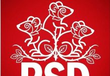 PSD-iștii amenință cu dosare și amenzi pentru că sunt făcuți ”șobolani”. Dîncu: ”A revenit vremea plăcuțelor suedeze”