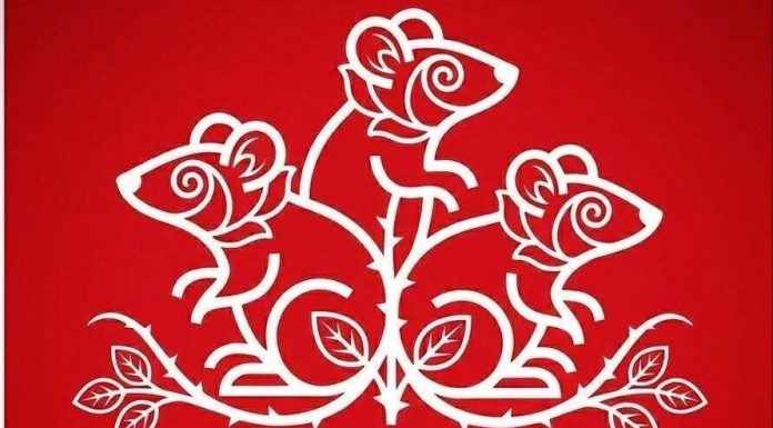 PSD-iștii amenință cu dosare și amenzi pentru că sunt făcuți ”șobolani”. Dîncu: ”A revenit vremea plăcuțelor suedeze”