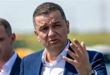Doi guzgani la Timișoara