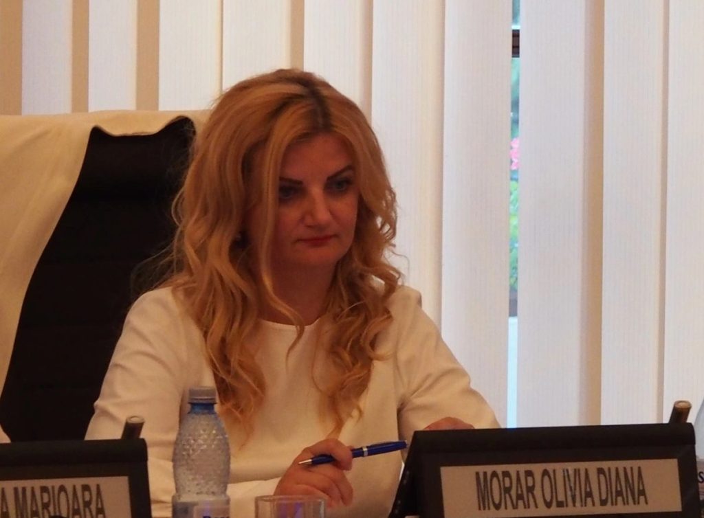 Diana Morar - varianta 02 pentru funcția de Ministru al Muncii. FOTO: Bistrița Expres