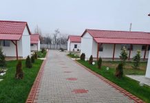 Dumbrava minunată