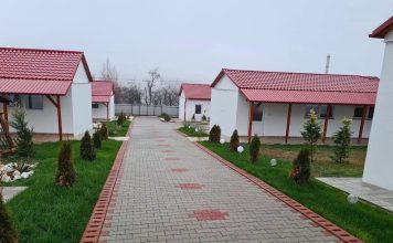 Dumbrava minunată
