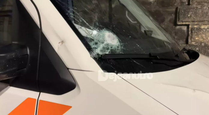 Cei 7 arestați pentru atacul primitiv asupra ”ambulanţei care fură copii”: 6 cretini și o idioată, cu creiere tiktokerizate