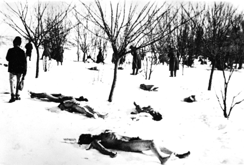 Cadavre de evrei asasinați în timpul Pogromului de la București (pădurea Jilava, 23 ianuarie 1941). FOTO: CNSAS