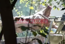 La petrecerea de ziua sa, George Simion a cerut donații pentru ”viitorul” fiului său de doi ani! Chermeză cu proțap și lăutari la ”casa lui Ceaușescu”, ajunsă proprietatea unui afacerist condamnat