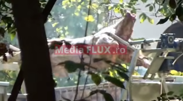 La petrecerea de ziua sa, George Simion a cerut donații pentru ”viitorul” fiului său de doi ani! Chermeză cu proțap și lăutari la ”casa lui Ceaușescu”, ajunsă proprietatea unui afacerist condamnat